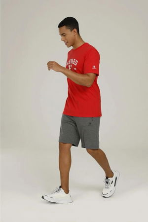 Lumberjack Basic Erkek Şort ANTRASIT