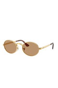 Ray-Ban Erkek Güneş Gözlüğü KAHVE