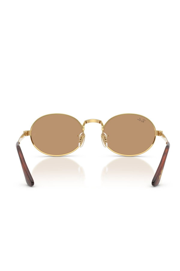 Ray-Ban Erkek Güneş Gözlüğü KAHVE