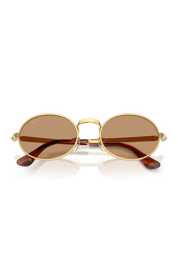 Ray-Ban Erkek Güneş Gözlüğü KAHVE