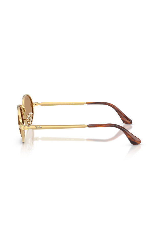 Ray-Ban Erkek Güneş Gözlüğü KAHVE
