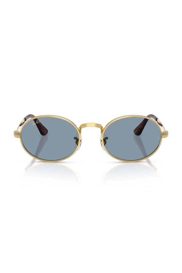 Ray-Ban Erkek Güneş Gözlüğü MAVİ