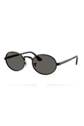 Ray-Ban Erkek Güneş Gözlüğü SİYAH