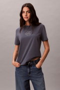 Calvin Klein Kadın Bisiklet Yaka T-shirt GRI