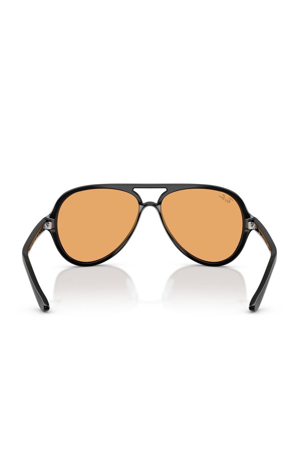 Ray-Ban Erkek Güneş Gözlüğü SİYAH