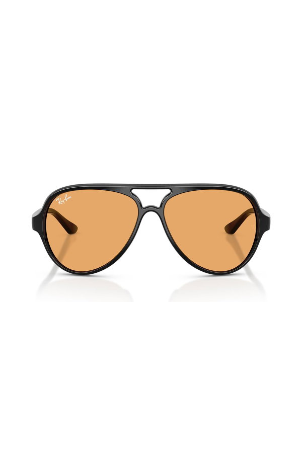 Ray-Ban Erkek Güneş Gözlüğü SİYAH