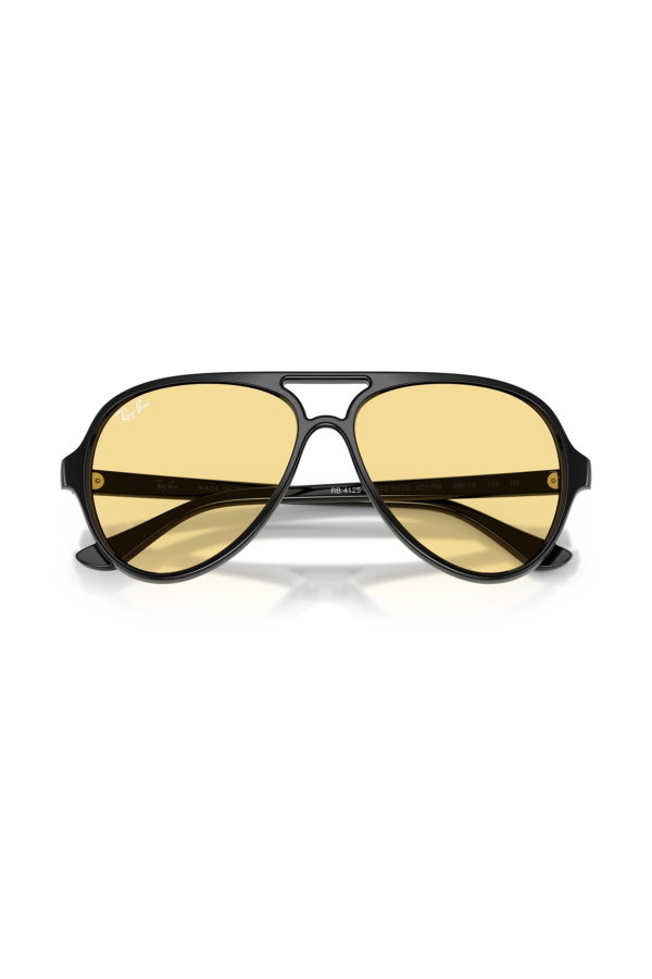 Ray-Ban Erkek Güneş Gözlüğü SİYAH