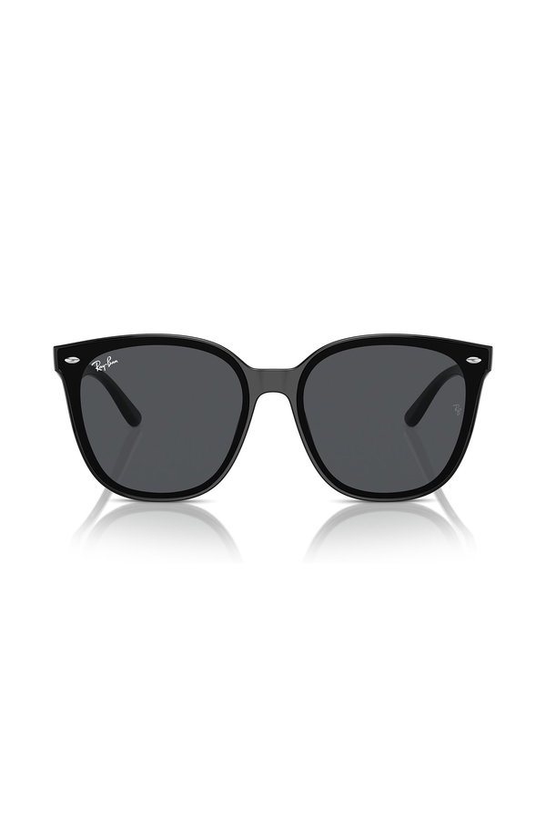 Ray-Ban Erkek Güneş Gözlüğü SİYAH