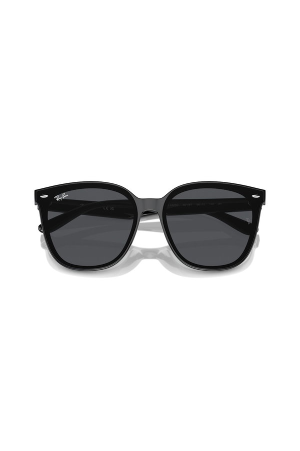 Ray-Ban Erkek Güneş Gözlüğü SİYAH