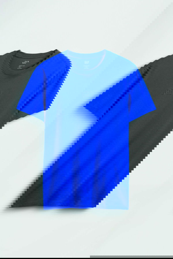 Gap Erkek T-shirt SAKS