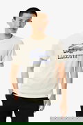 Lacoste Erkek T-shirt BEJ