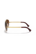 Ray-Ban Erkek Güneş Gözlüğü kahve