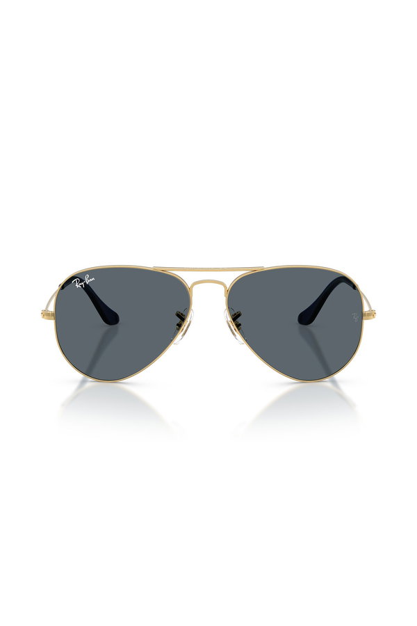 Ray-Ban Erkek Güneş Gözlüğü MAVİ