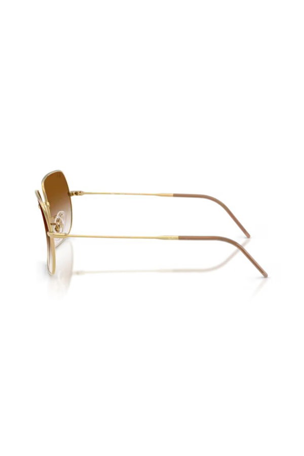 Ray-Ban Kadın Güneş Gözlüğü kahve