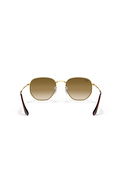 Ray-Ban Erkek Güneş Gözlüğü KAHVE