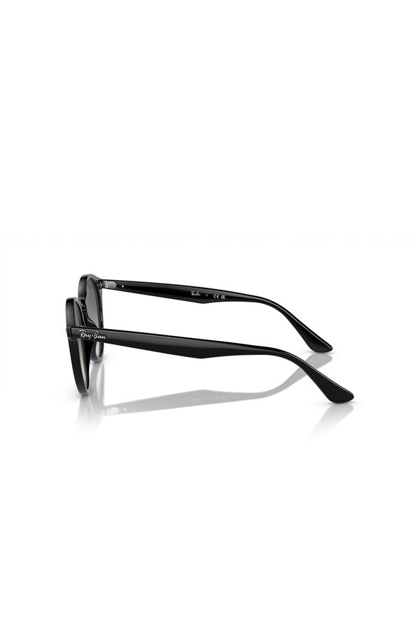 Ray-Ban Erkek Güneş Gözlüğü SİYAH