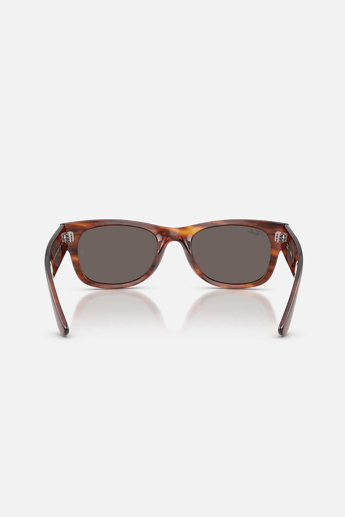 Ray-Ban Kadın Güneş Gözlüğü KAHVE