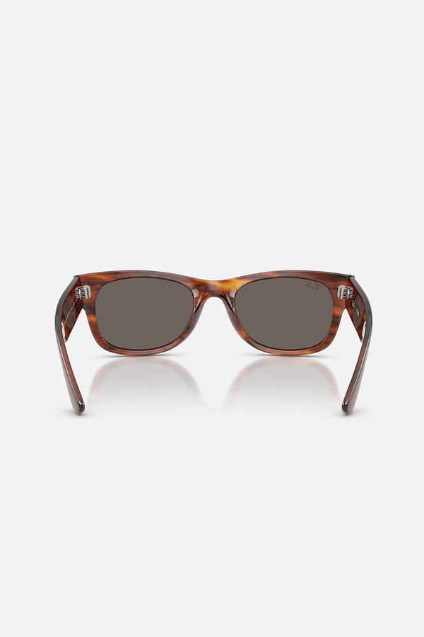 Ray-Ban Kadın Güneş Gözlüğü KAHVE