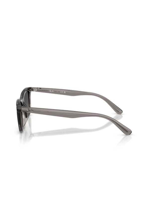 Ray-Ban Erkek Güneş Gözlüğü KAHVE