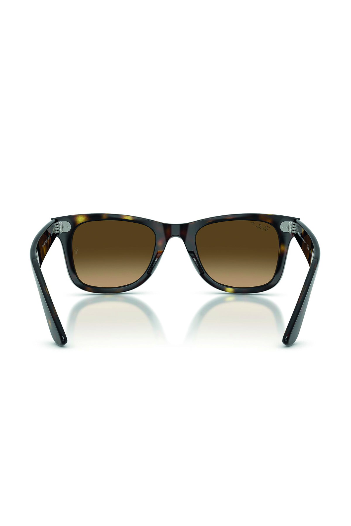 Ray-Ban Kadın Güneş Gözlüğü KAHVE