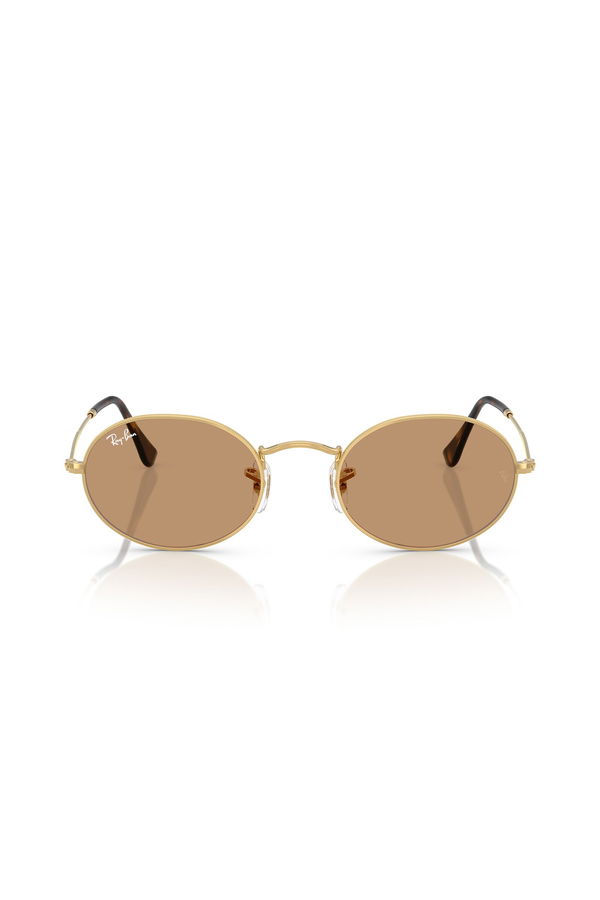 Ray-Ban Kadın Güneş Gözlüğü KAHVE