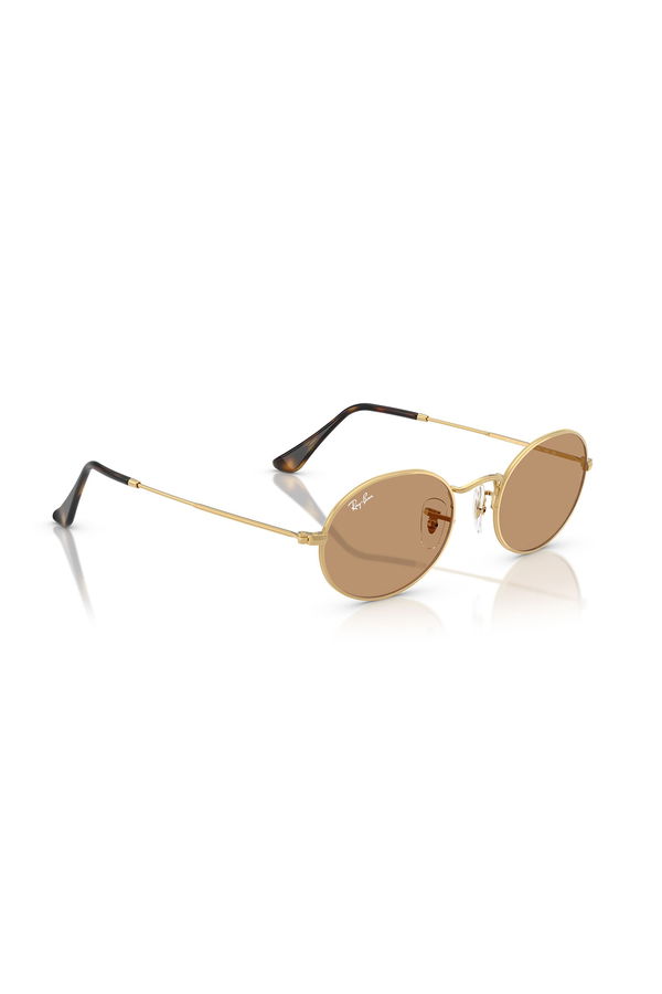 Ray-Ban Kadın Güneş Gözlüğü KAHVE