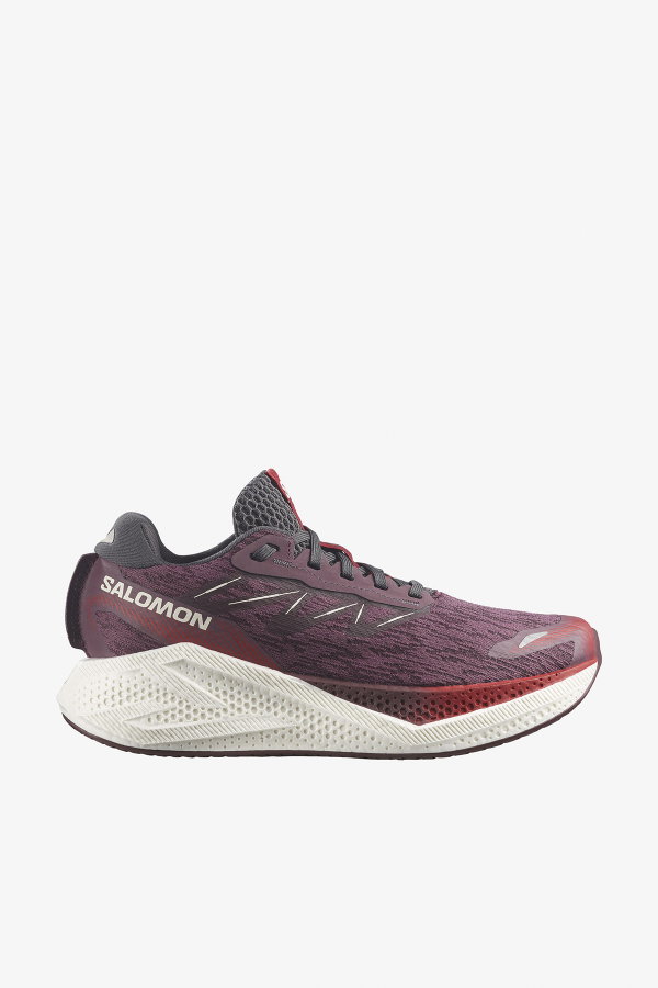 Salomon Aero Glide 4 Kadın Koşu Ayakkabı MURDUM