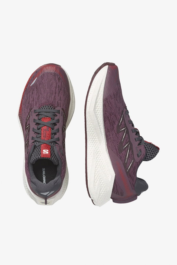 Salomon Aero Glide 4 Kadın Koşu Ayakkabı MURDUM