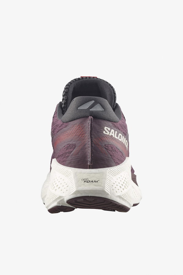 Salomon Aero Glide 4 Kadın Koşu Ayakkabı MURDUM