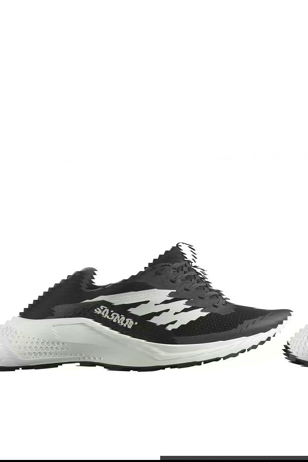 Salomon Alphaglide Erkek Koşu Ayakkabı SIYAH Salomon Alphaglide Erkek Koşu Ayakkabı SIYAH