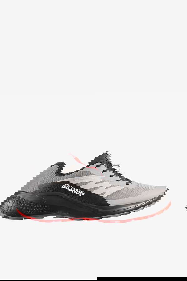 Salomon Alphaglıde Erkek Koşu Ayakkabısı GRI