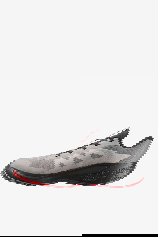 Salomon Alphaglıde Erkek Koşu Ayakkabısı GRI