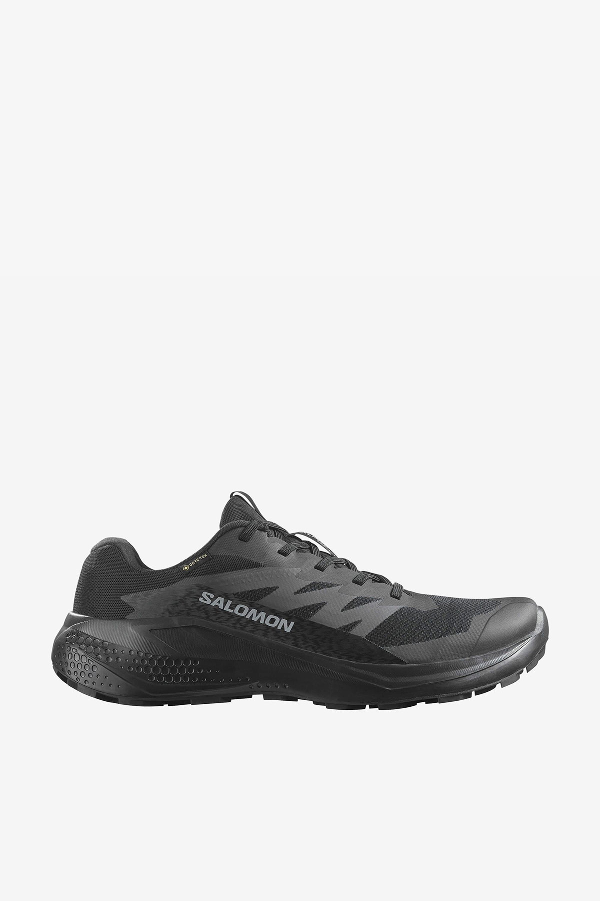 Salomon Alphaglide Gore-Tex Erkek Spor Ayakkabı SIYAH
