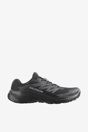 Salomon Alphaglide Gore-Tex Erkek Spor Ayakkabı SIYAH