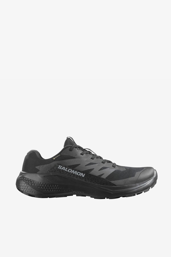 Salomon Alphaglide Gore-Tex Erkek Spor Ayakkabı SIYAH