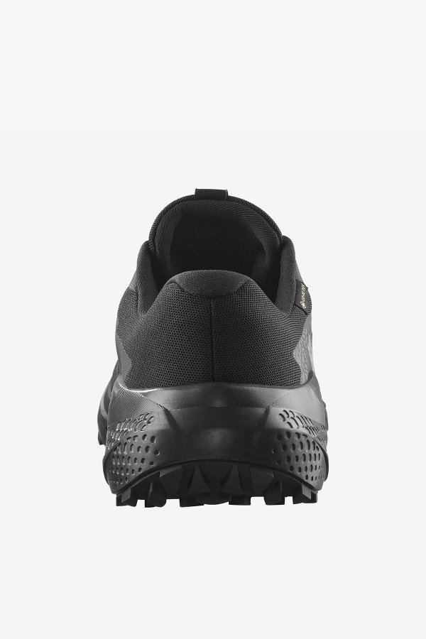 Salomon Alphaglide Gore-Tex Erkek Spor Ayakkabı SIYAH