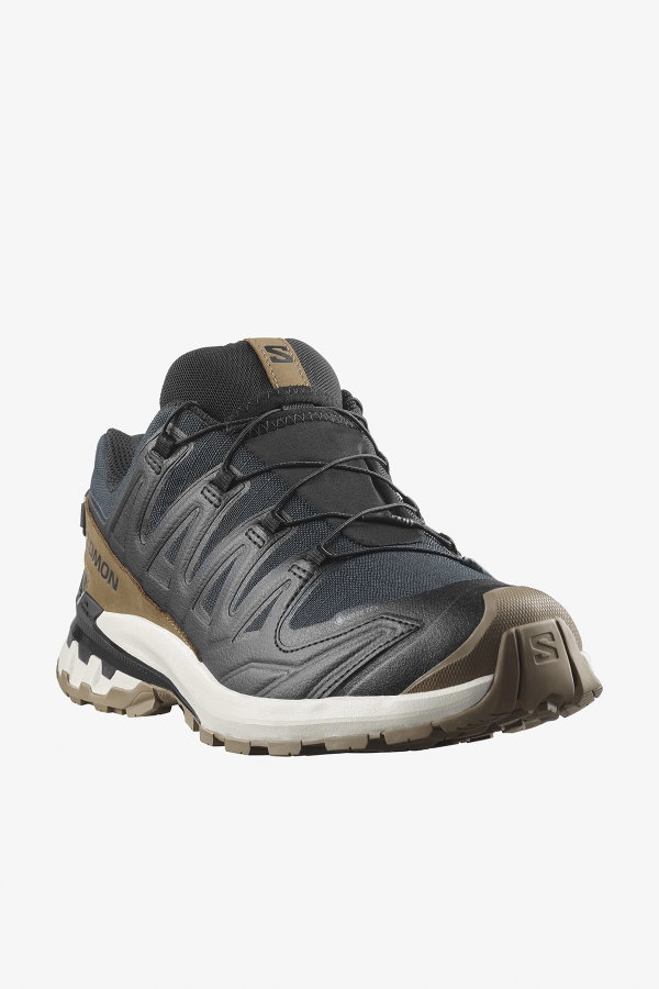 Salomon XA PRO 3D V9 Gore-Tex Lifelong Erkek Outdoor Ayakkabı SIYAH