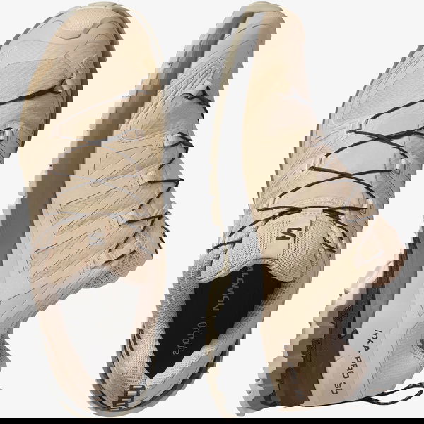 Salomon Xa Pro 3D V9 Gtx Erkek  Outdoor BEJ