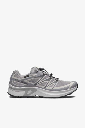 Salomon Xt-Evr Gtx M Erkek Spor Ayakkabı GRI