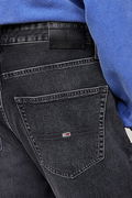 Tommy Hilfiger  Erkek Jeans