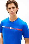 Tommy Hilfiger Erkek Bisiklet Yaka T-shirt SAKS